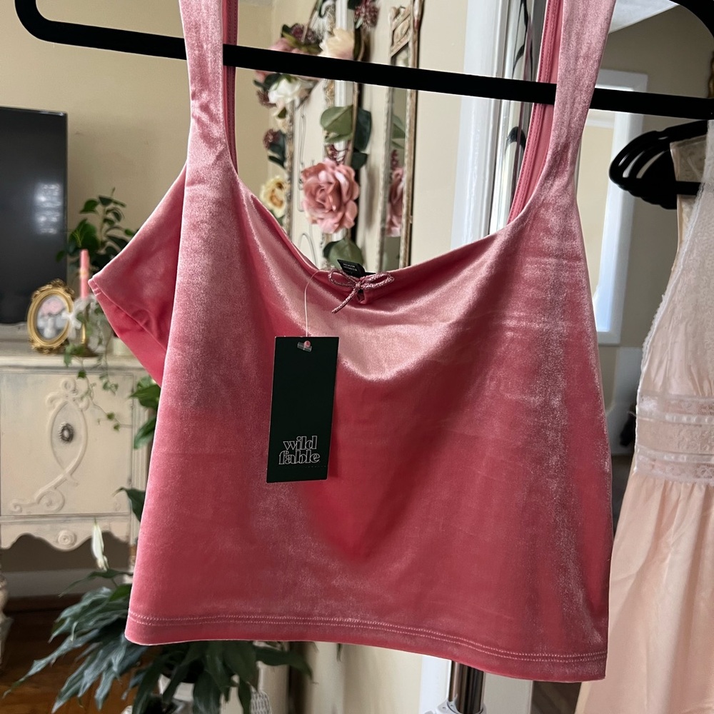 Wild Fable Soft Rose Velvet Crop Top